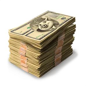 Money bundle cash stack symbol paying up to 30x bet